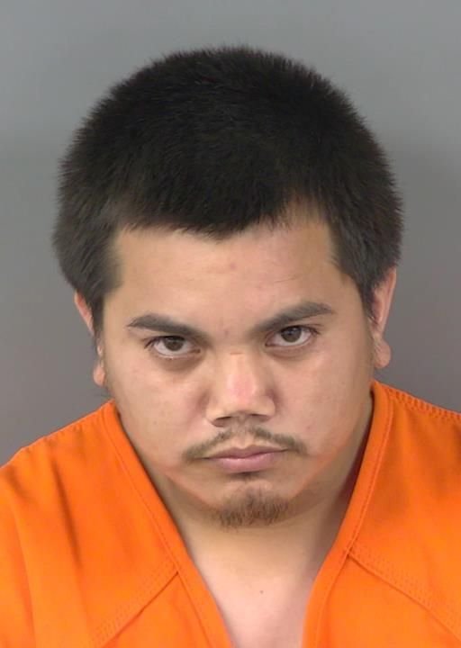 Booking photo of David Ramosmartinez