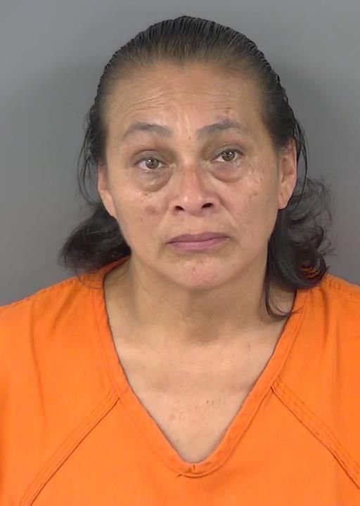 Booking photo of Salome Alvarez-carvajal