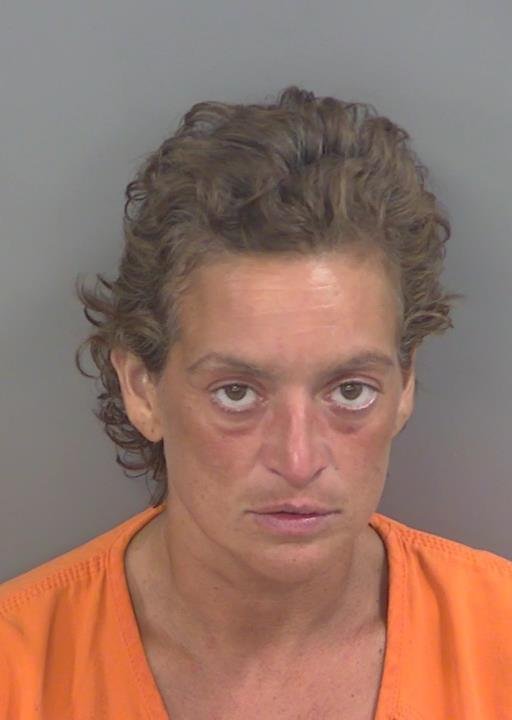 Booking photo of Ileana Ortega