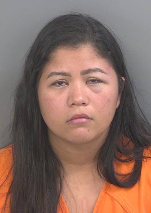Booking photo of Karlina Pinto-carroz