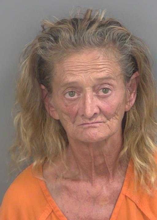 Booking photo of Joann Sciandra