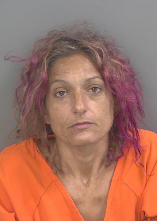 Booking photo of Stephanie Lewis