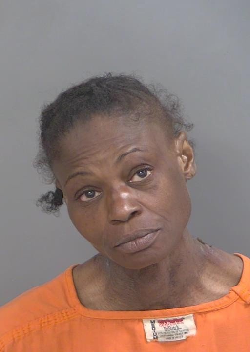 Booking photo of Michelle Morgan