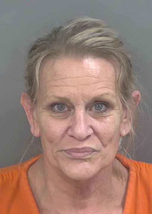 Booking photo of Galadriel Javorsky
