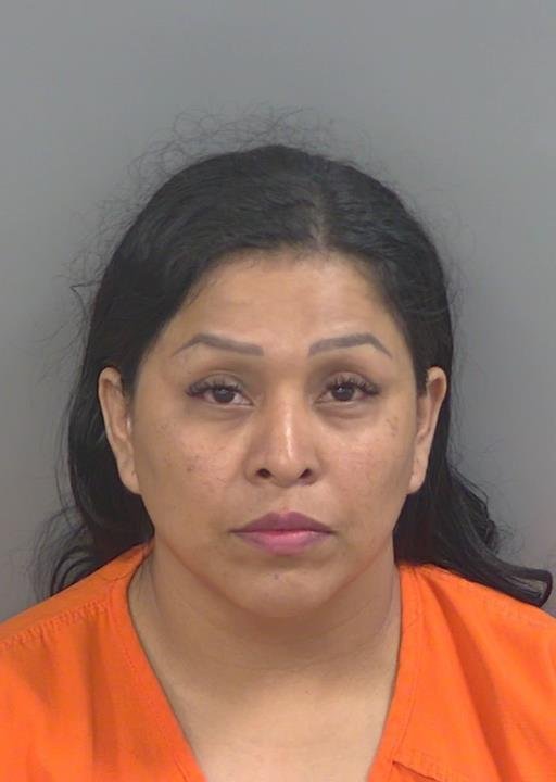 Booking photo of Sandivel Reyespavon