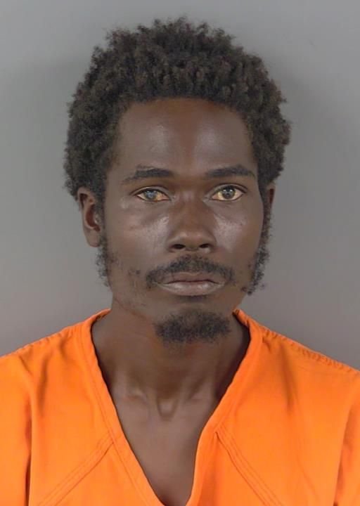 Booking photo of Predly Alsenat