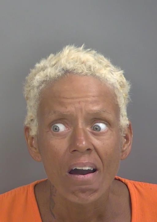 Booking photo of Heather Roland
