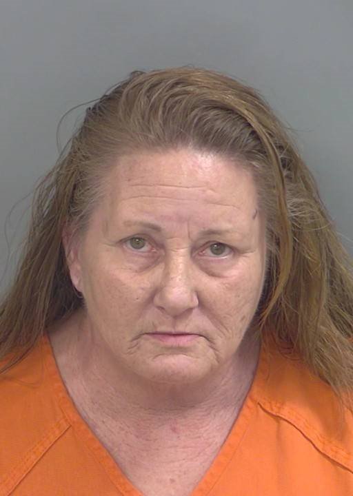 Booking photo of Karen Hedrich
