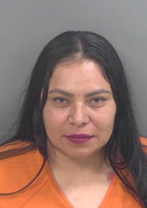 Booking photo of Maritza Hernandezagreda