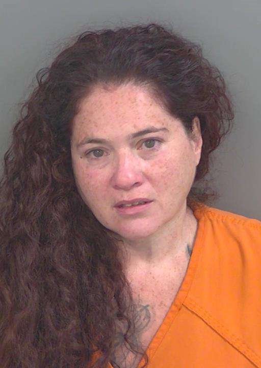 Booking photo of Bernice Ramoscotto