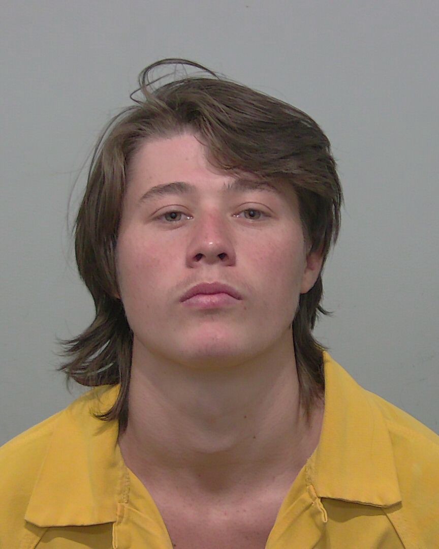 Booking photo of Adyn Petit