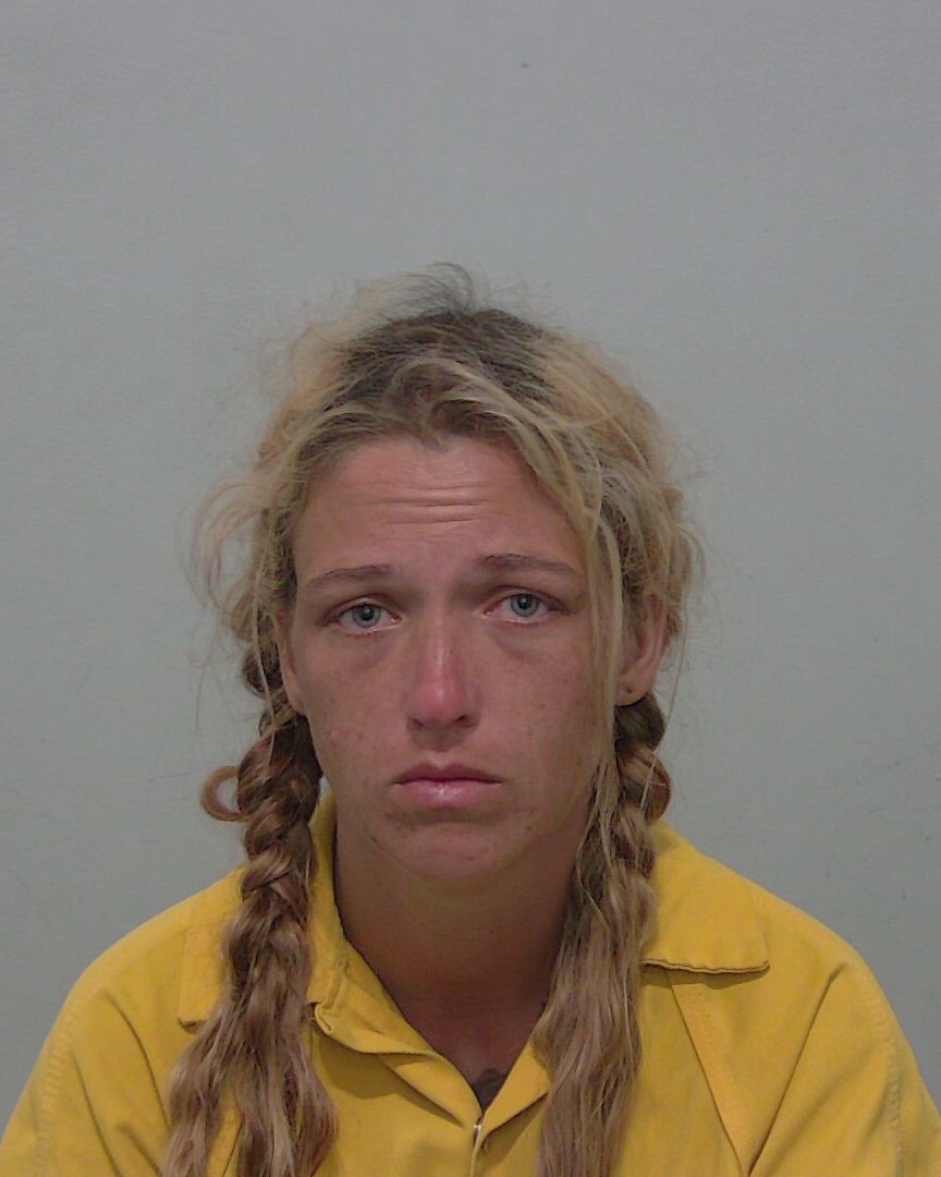 Booking photo of Sandra Godwin