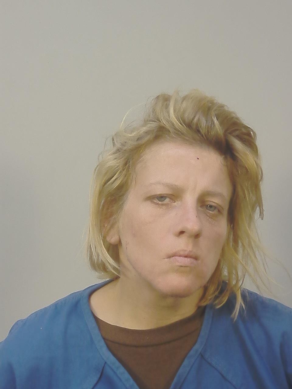 Booking photo of Diane Marie Maroney