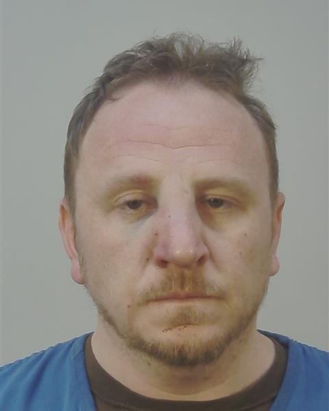 Booking photo of Ross Martin Wydeven