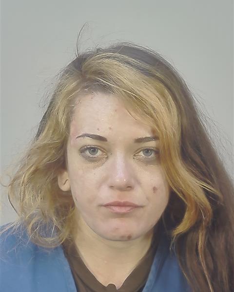 Booking photo of Hayle Jo Vagedes