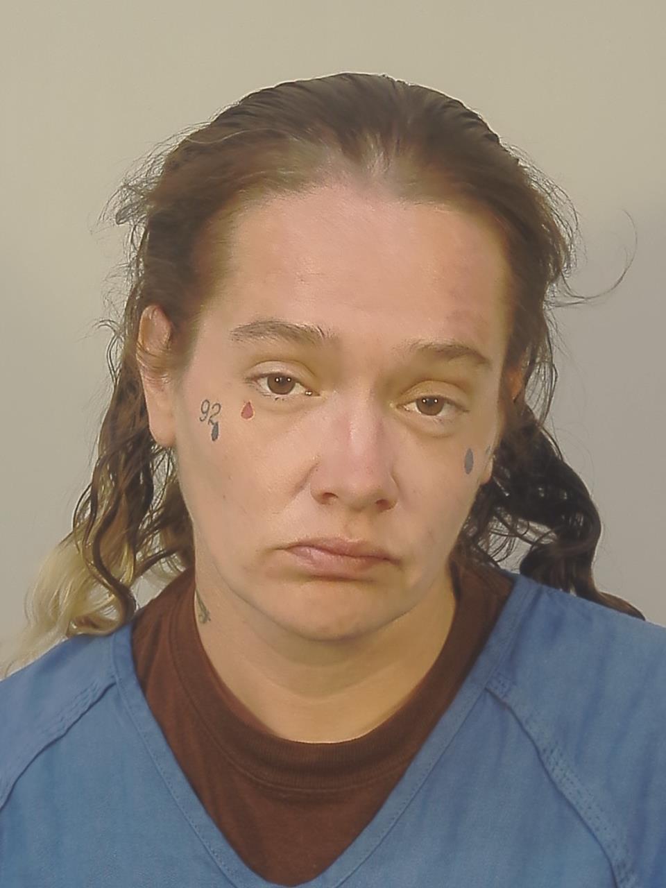 Shawnna Rae Tysver booking photo
