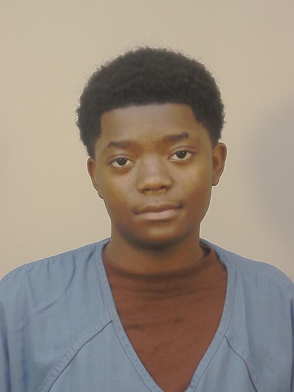 Booking photo of Ameerah Marie Williams