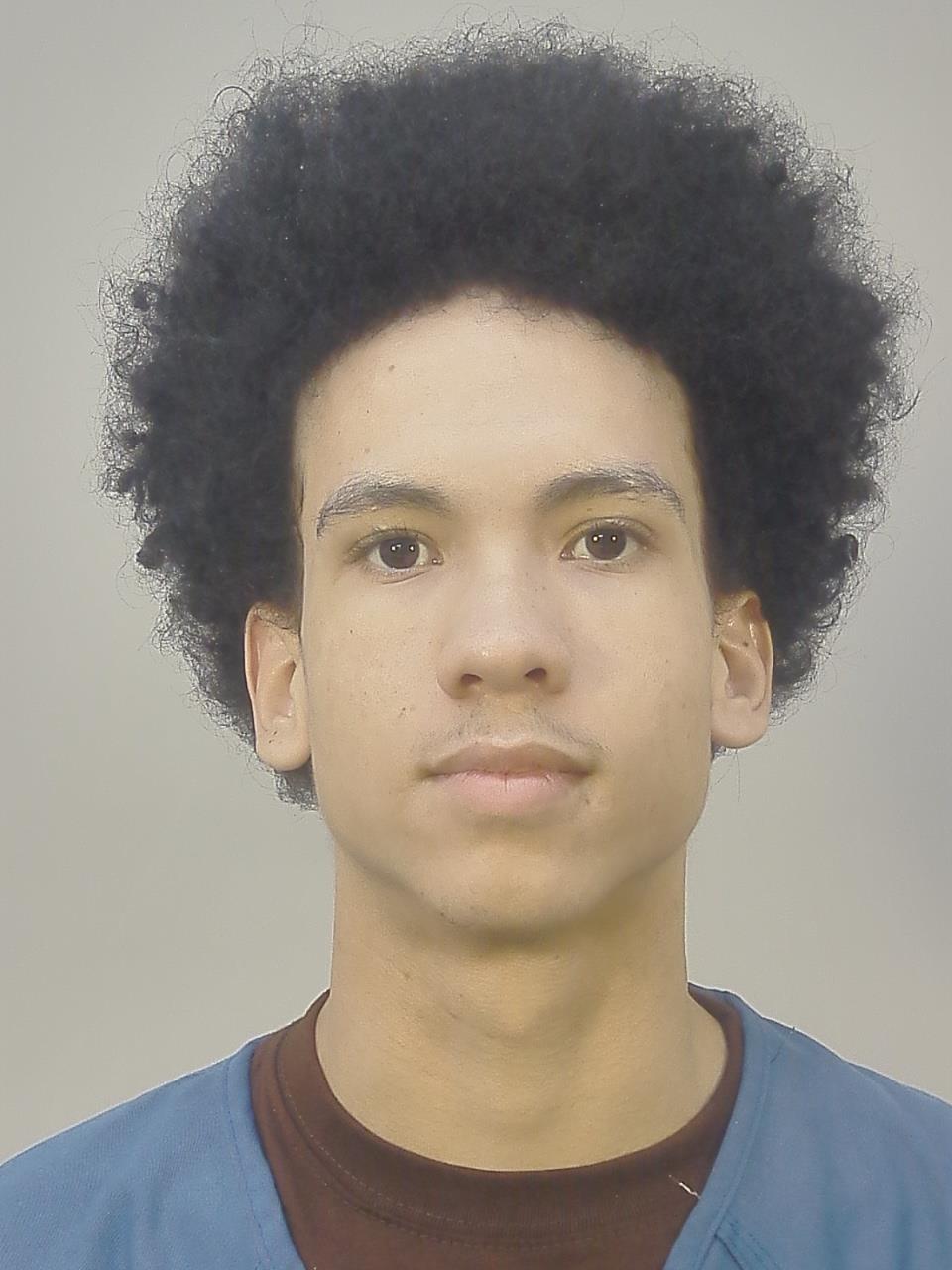 Anthony I Boswell booking photo