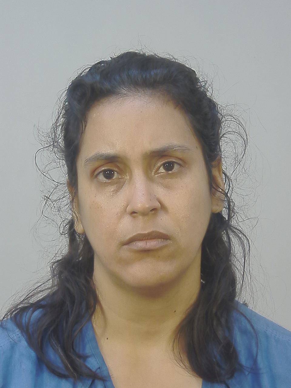 Jamilette Perez Albino booking photo