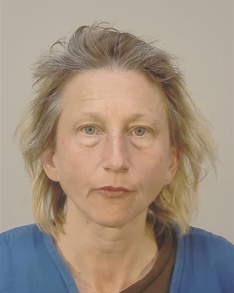 Jessica Rose Luhman booking photo