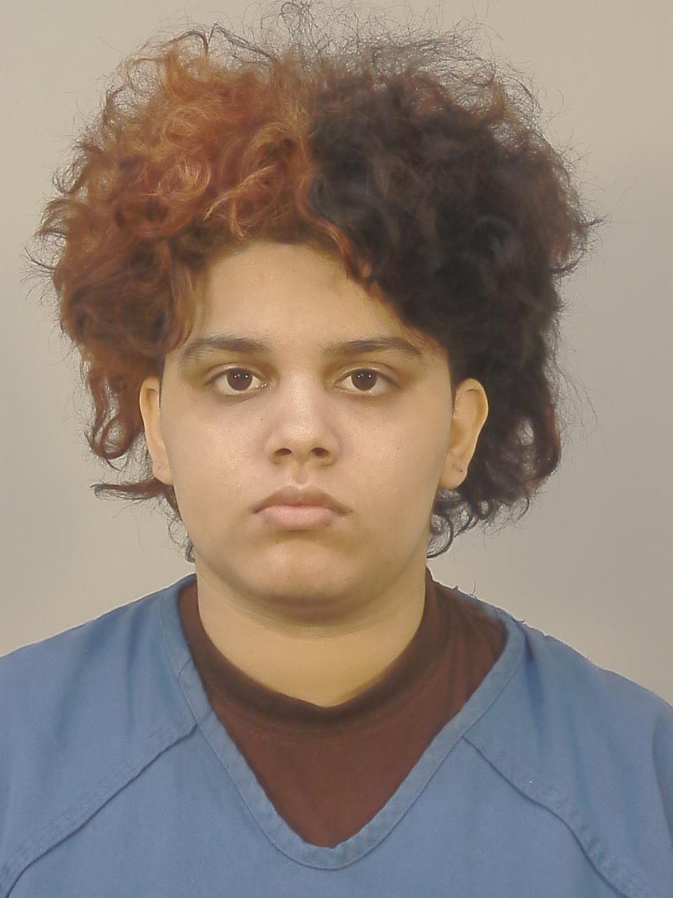 Yuliette Sanabria Aponte booking photo