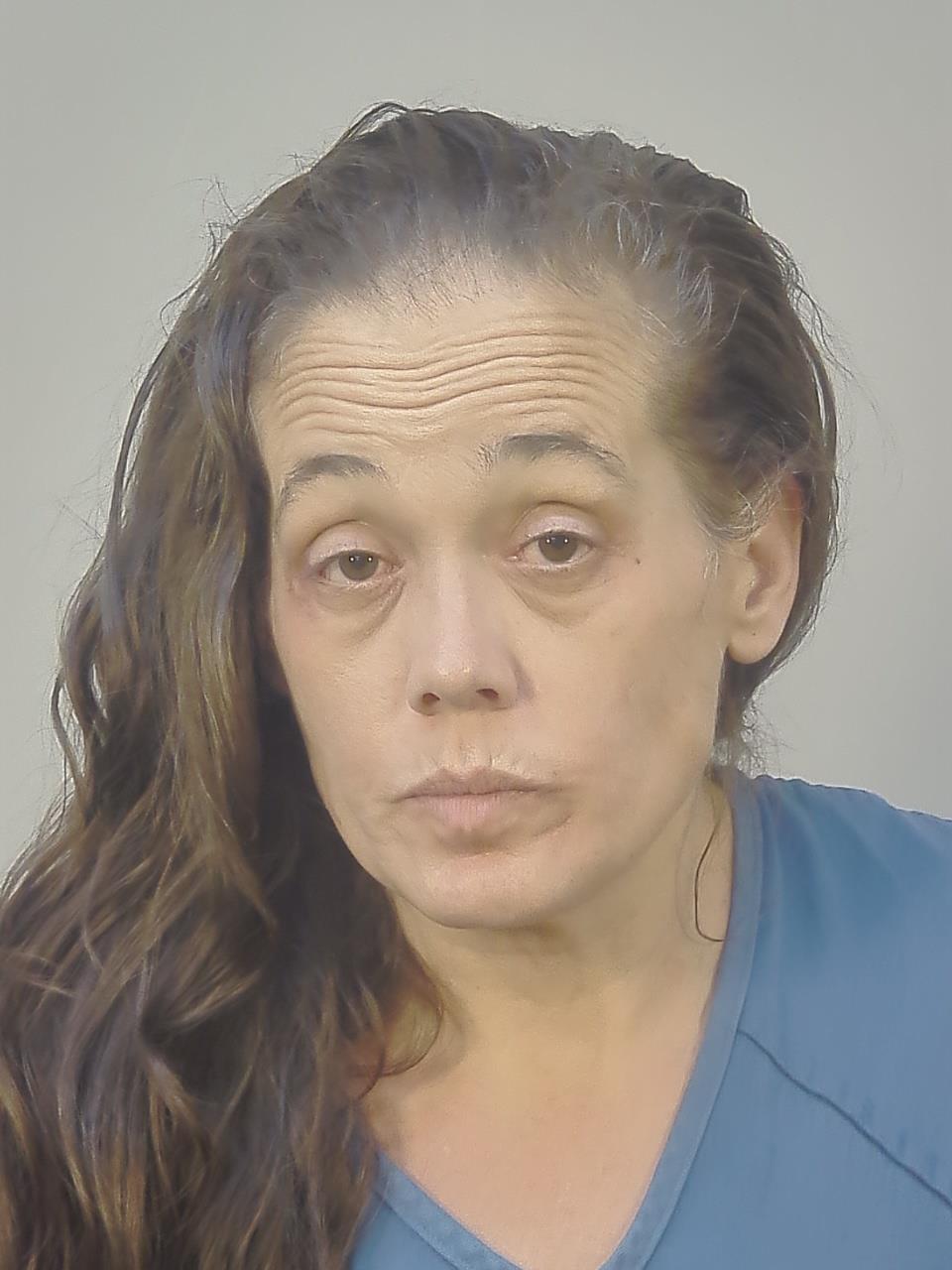 Booking photo of Nicole Catherine Wampole