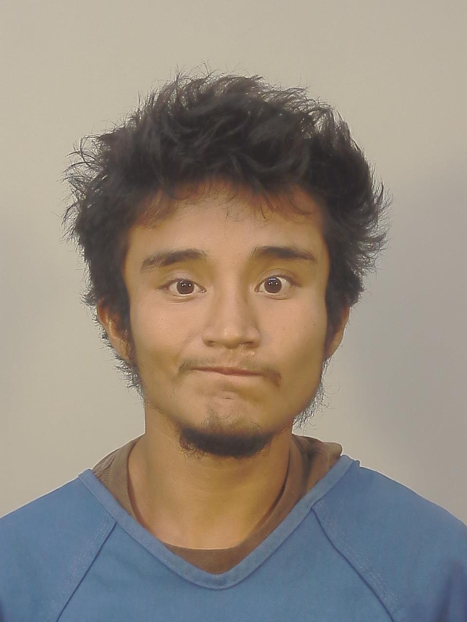 Booking photo of Ame I Pineda