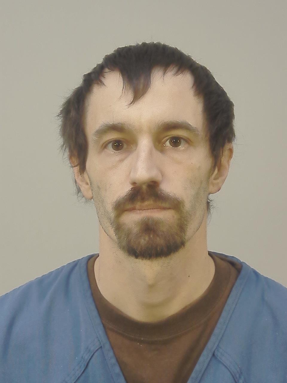 Booking photo of Harley Donald Bethel