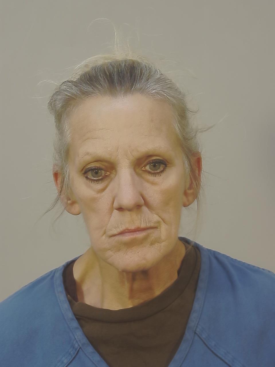 Booking photo of Toni Jean Watnem