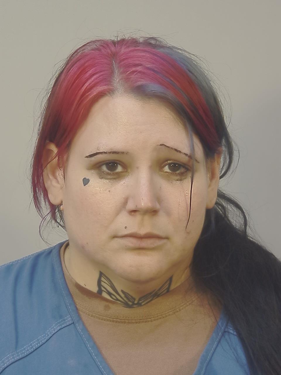 Booking photo of Hannah Rose Lee