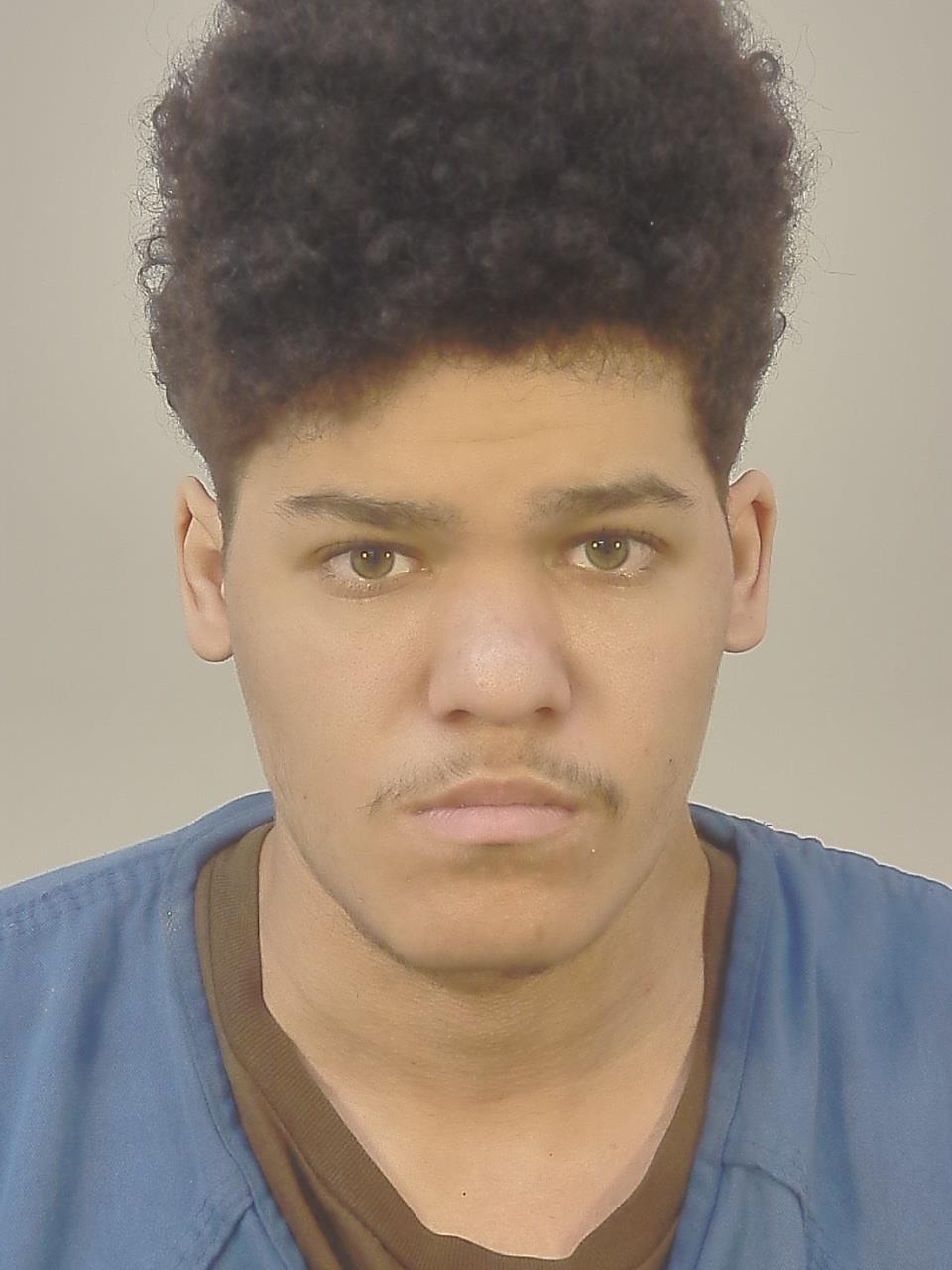 Booking photo of Josarieo J Niederhauser