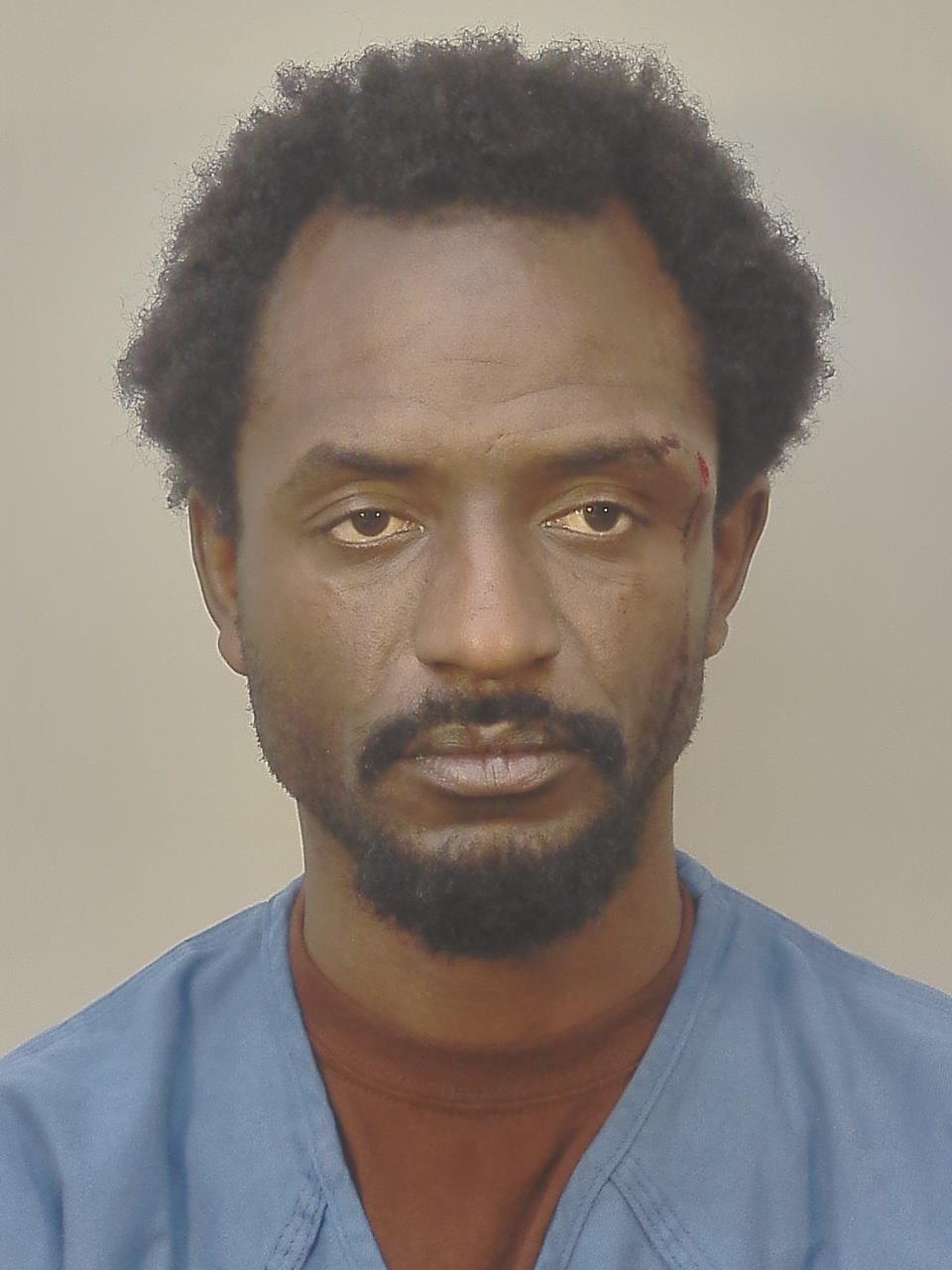 Booking photo of Shakur Ali Williams