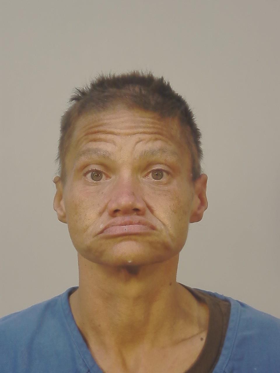 Booking photo of Charysse Eldri Langlois