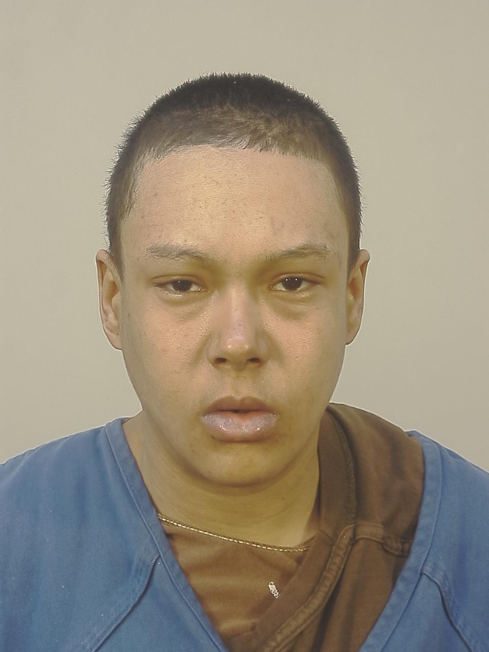 Booking photo of Hannah Kay Phenegar