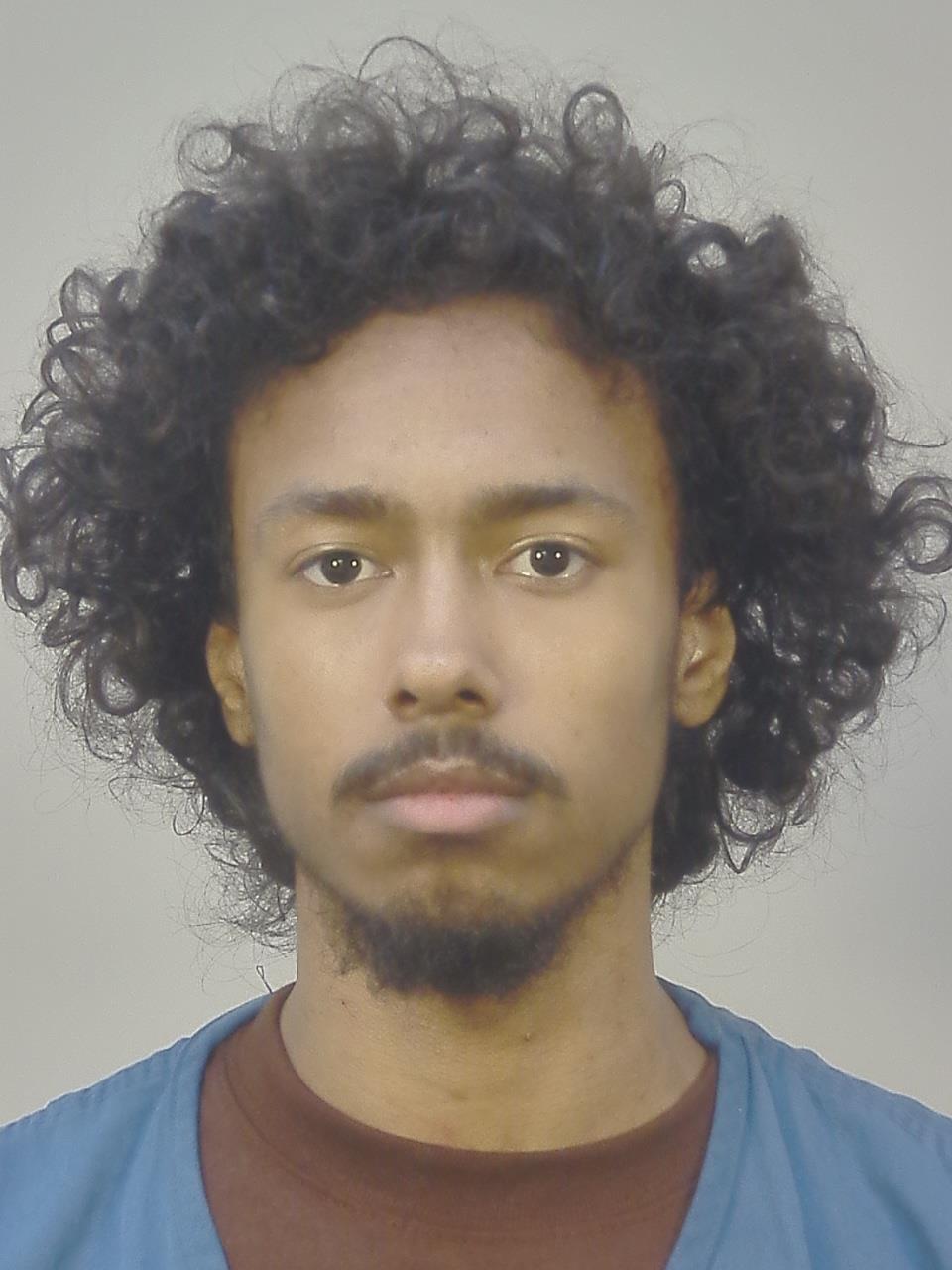 Booking photo of Kingston James Mcghee
