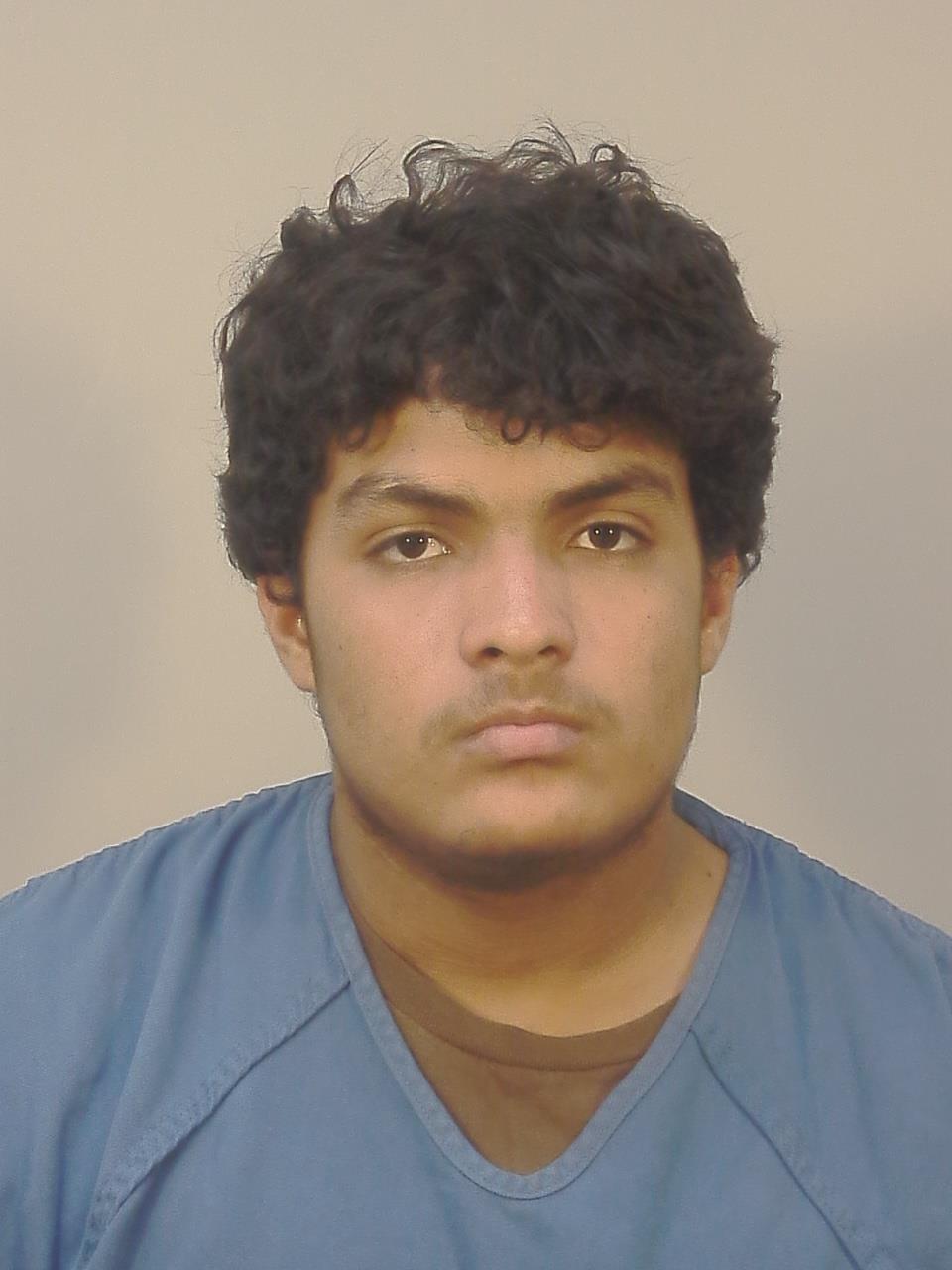 Roniel Enrique Blanco Parra booking photo