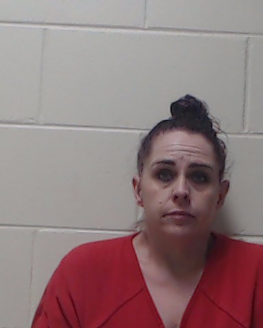 Booking photo of Nicole Hillesland