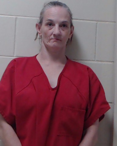 Booking photo of Tara Reed