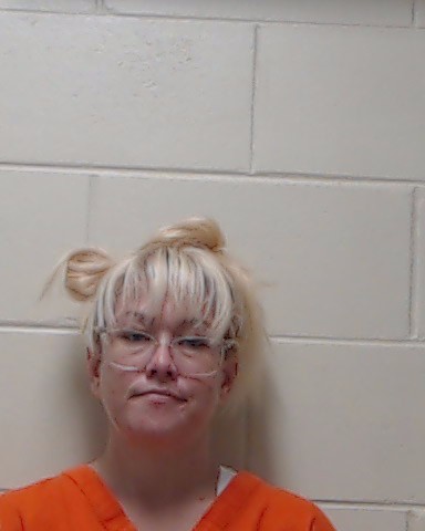 Booking photo of Lisa Gieseke