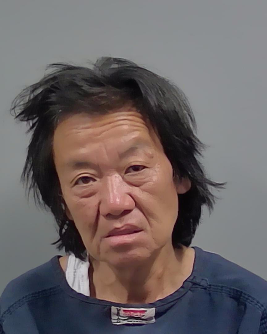 Booking photo of Hye Paleschic