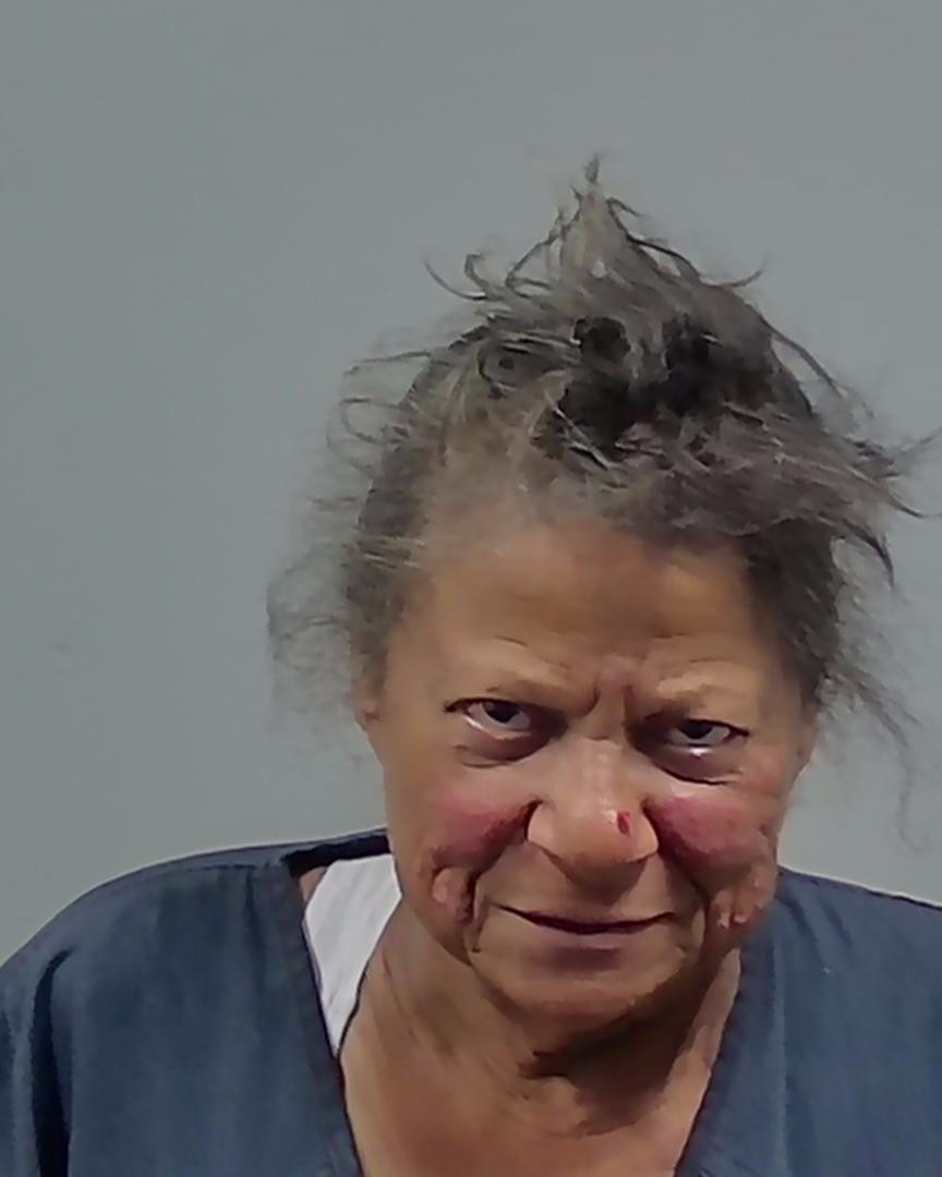 Booking photo of Virginia Melidonis