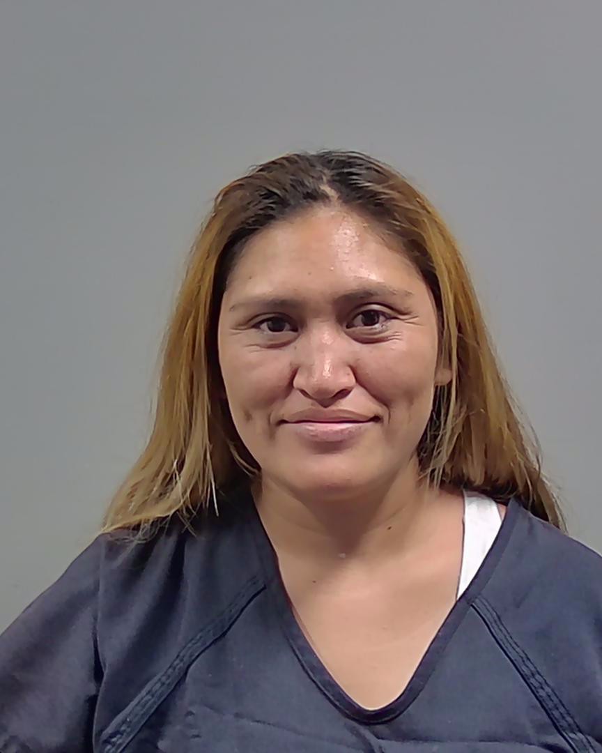 Booking photo of Nelly Vasquez Molina