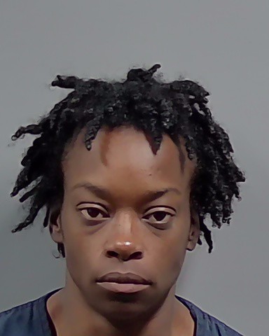 Booking photo of Brittany Young