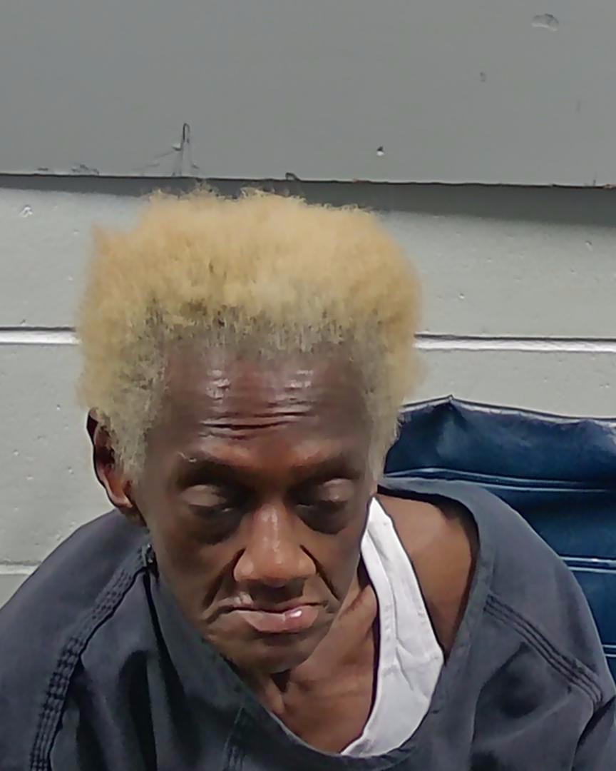 Booking photo of Linda Horns