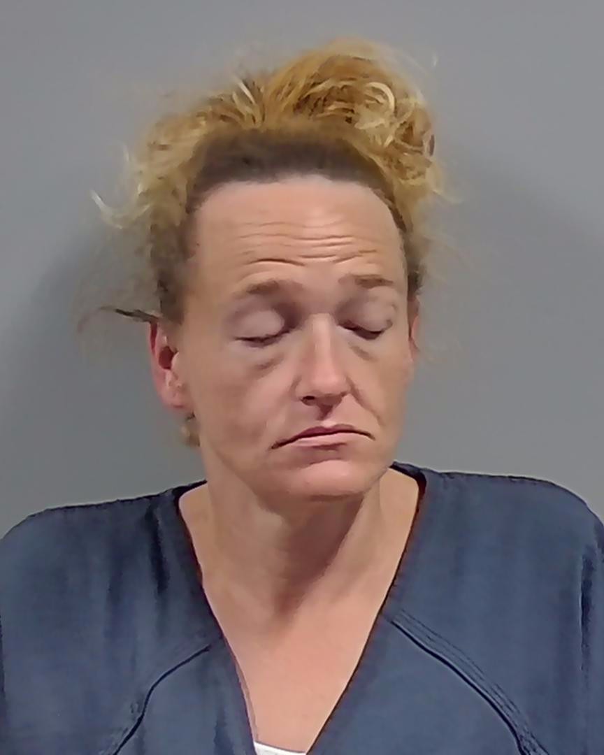 Booking photo of Lesley Applegate