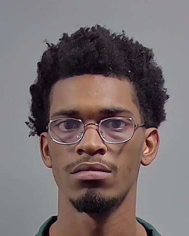 Booking photo of De'ontavious Palmore