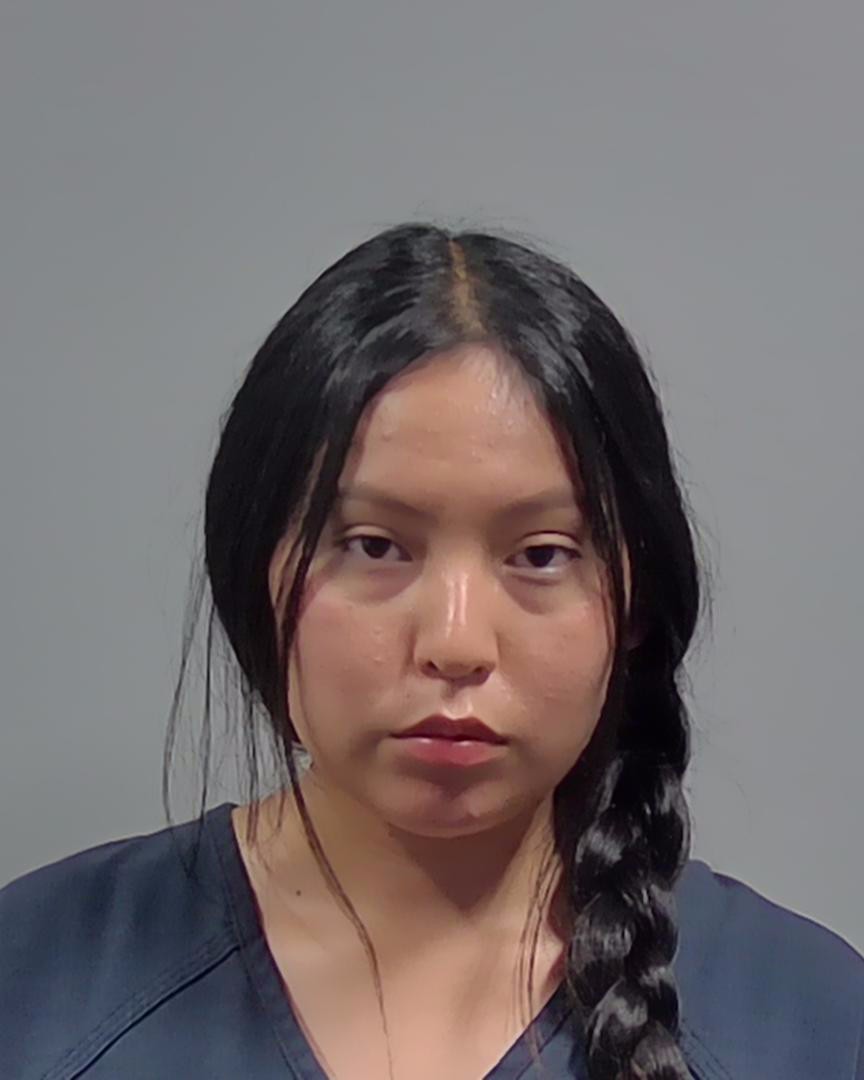 Lily Sandoval booking photo