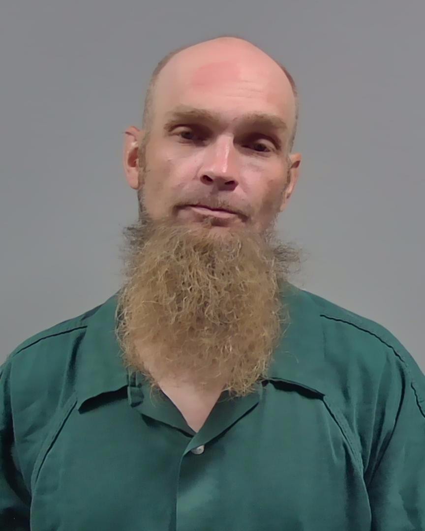 Booking photo of David Bailey