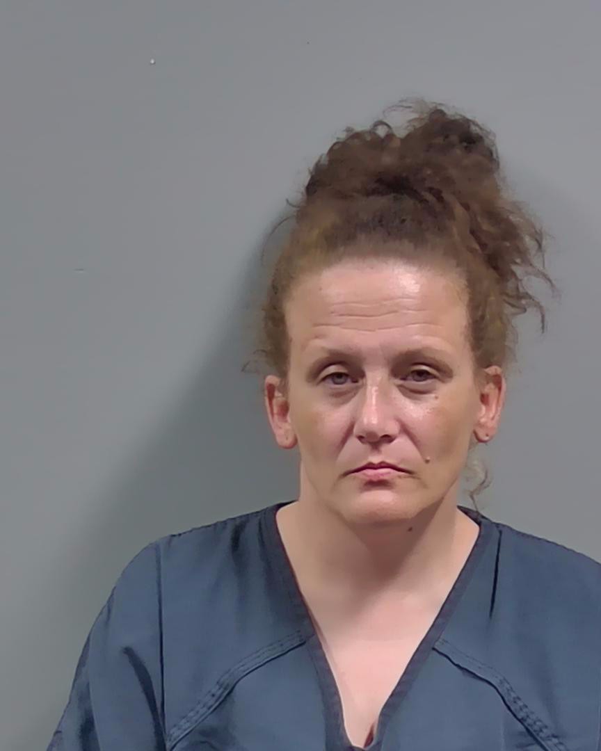 Booking photo of Megan Hill