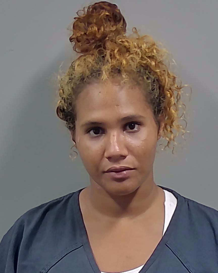 Liz Sanchez-nunez booking photo